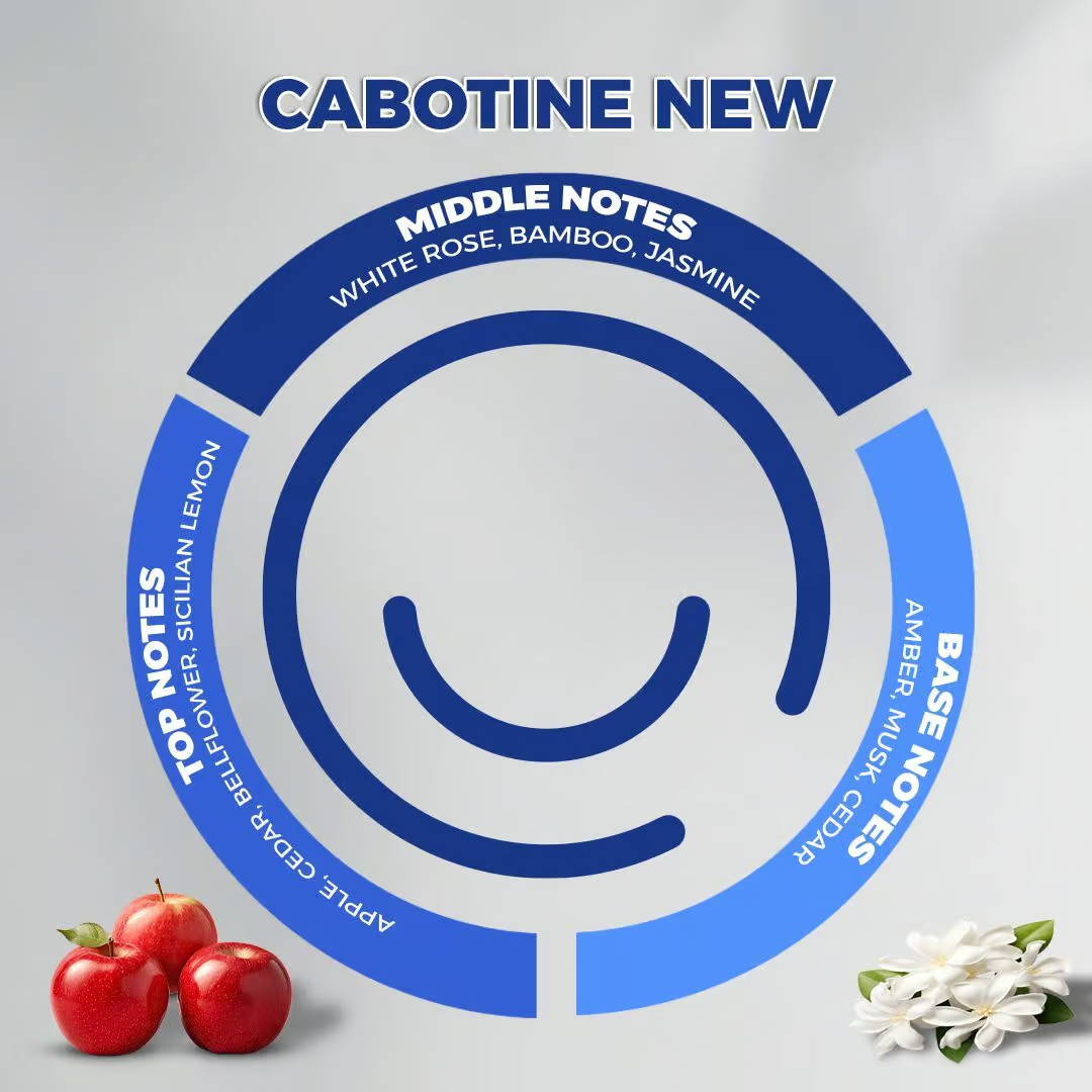 CABTINE NEWعبوة معطر سميل اند سمايل 480مل-CABTINE NEW